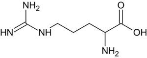 L-arginina