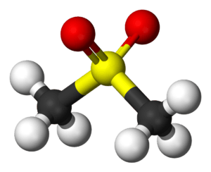 MSM (metylosulfonylometan)